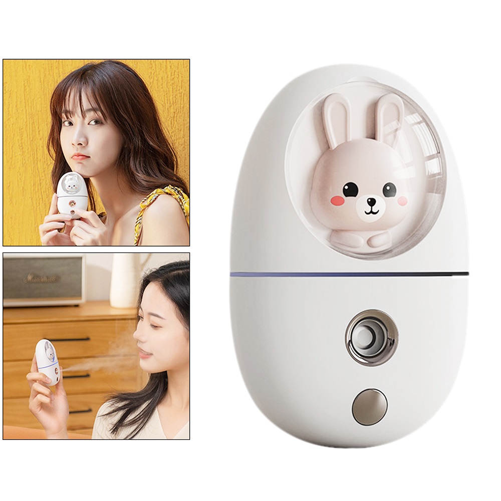 Cartoon 35ML Mini Facial Humid - Face Steamer review and price