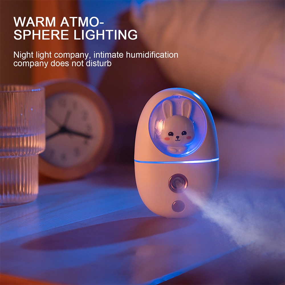 Cartoon 35ML Mini Facial Humid - Face Steamer review and price
