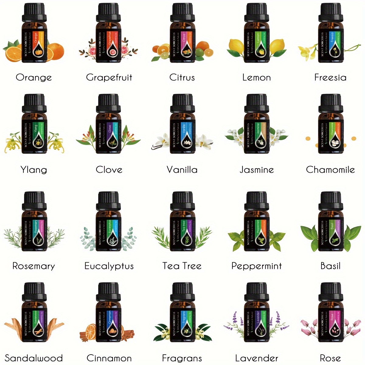 20pcs/set Essential Oil Set La - Spa Massager review and price
