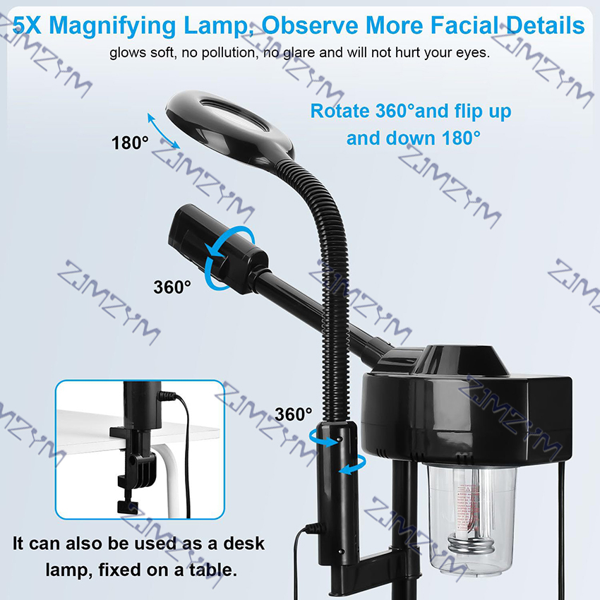 2-In-1 Facial Steamer with Lig - Face Steamer review and price