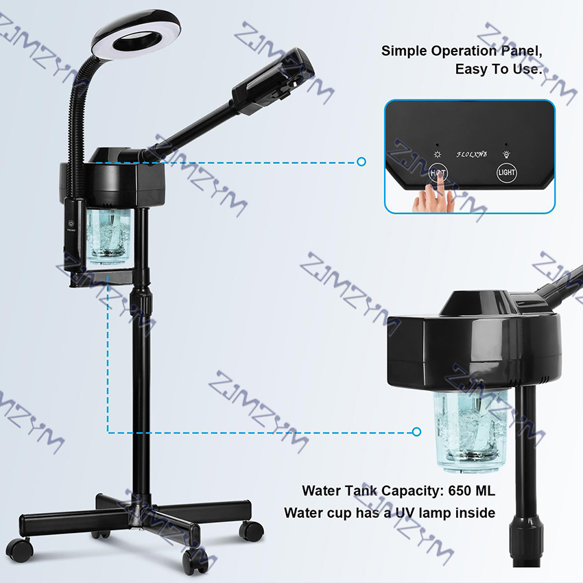 2-In-1 Facial Steamer with Lig - Face Steamer review and price
