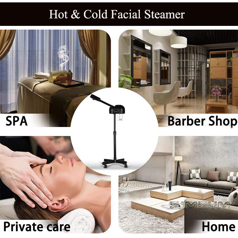 Professional Hot Cold Facial S - Face Steamer review and price