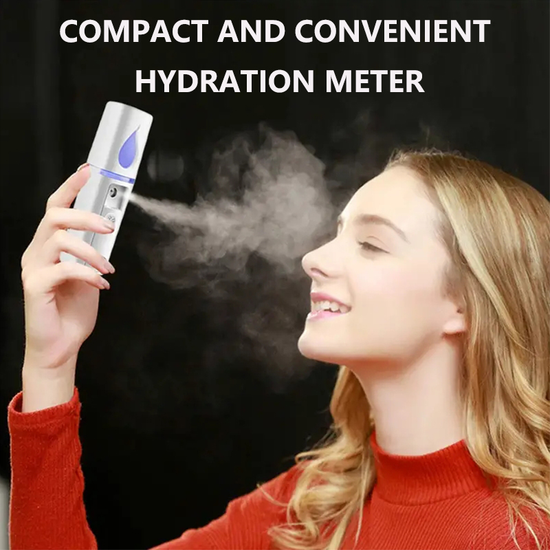 Mini Nano Facial Mister Face H - Face Steamer review and price