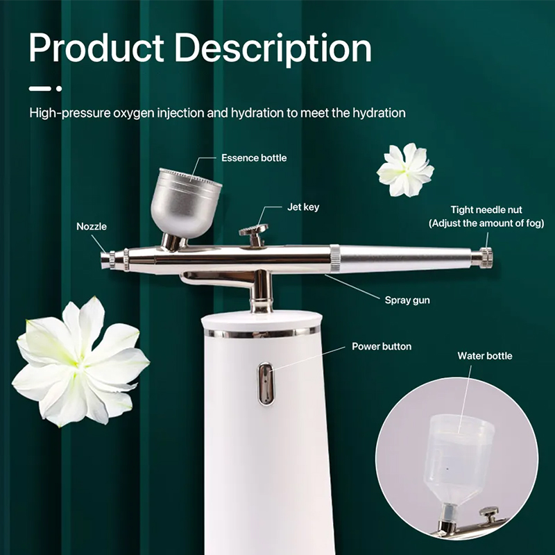 PAKISS Nano Ionic Cold Mist Ai - Face Steamer review and price
