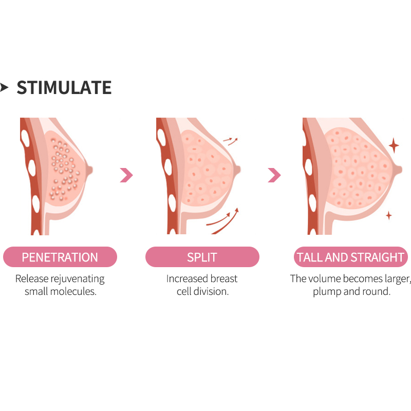 Natural Breast Enhancement Oil - Body Oil review and price