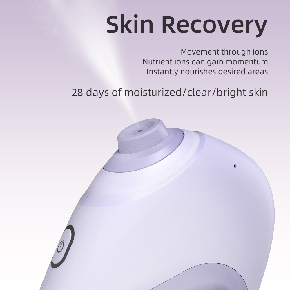 Nano Facial Sprayer Water Stea - Face Steamer review and price