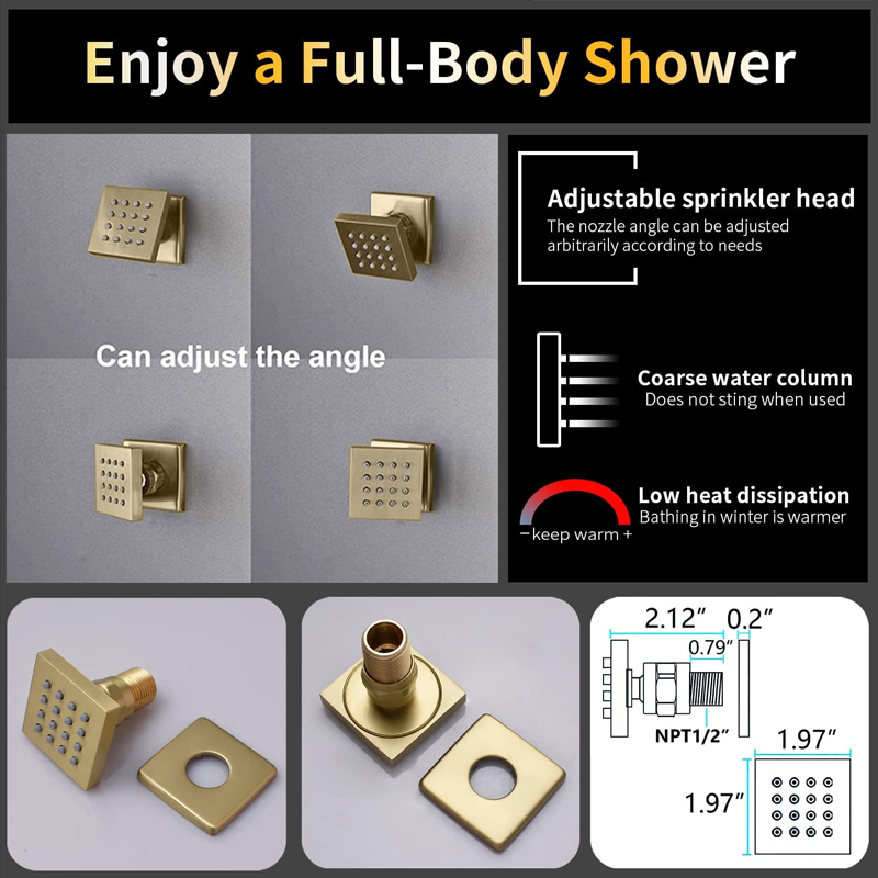 Brass Brushed Gold Digital Dis - Body Brush review and price